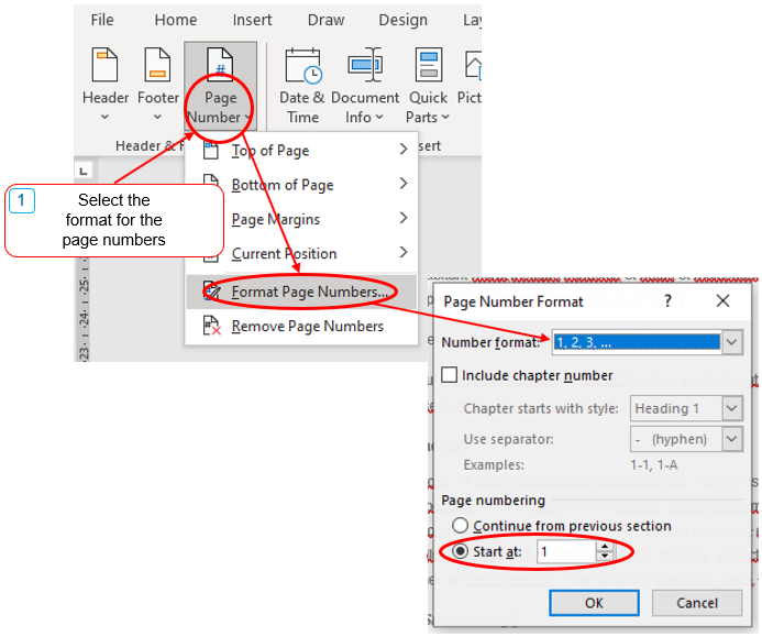 Select the correct page number format
