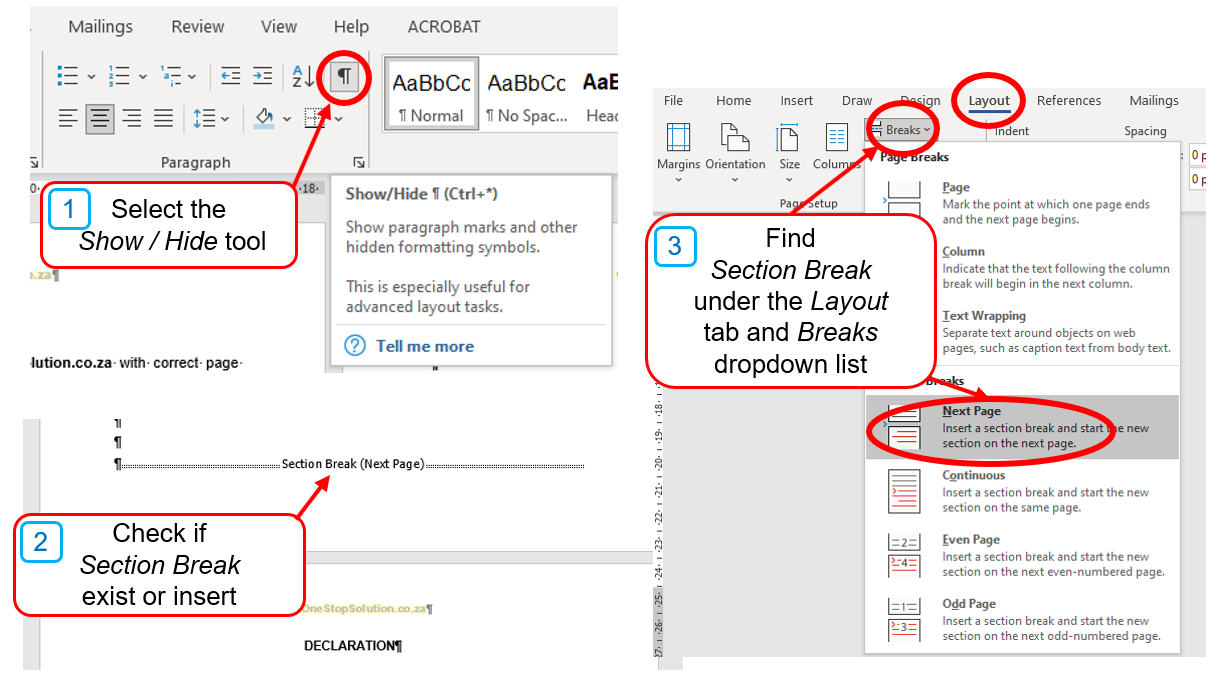 Insert the section break
